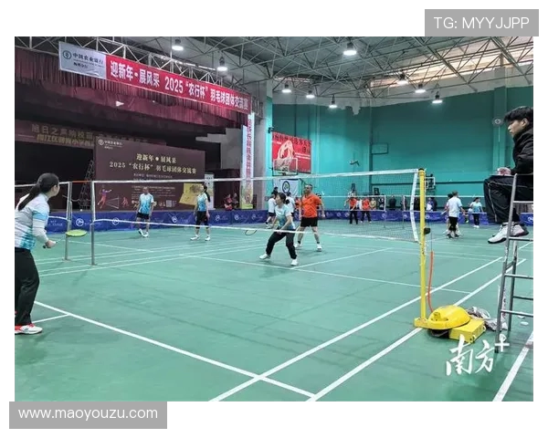 赛后分析:北京羽毛球队与深圳羽毛球队技术对比与战术探讨