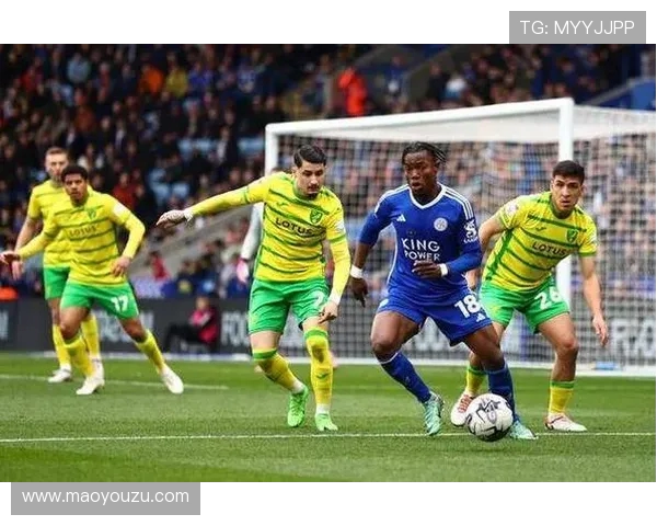 诺维奇对赫尔城比赛结果分析及精彩瞬间回顾